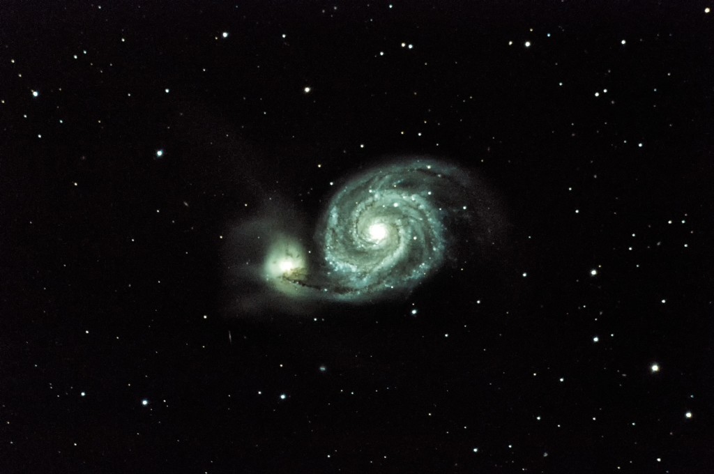 M51 - Chiens de Chasse